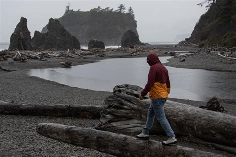 Seattle Adventures Kalaloch And The Hoh Rainfo