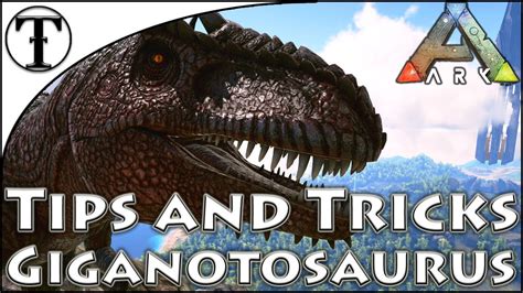 Fast Giganotosaurus Taming Guide Ark Survival Evolved Tips And
