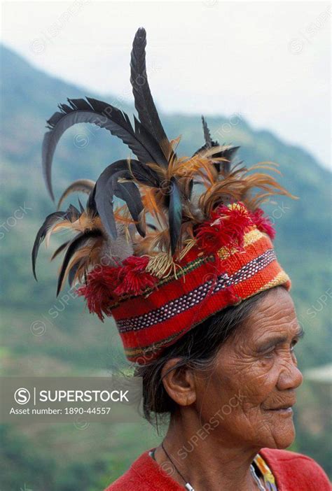 Ifugao Man In Headdress Decorated With Feathers Northern Area Island