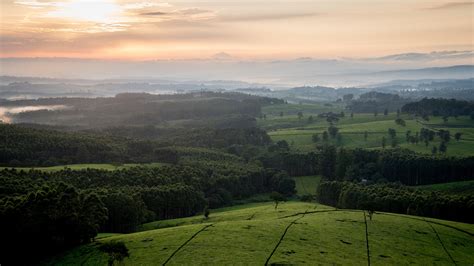 Satemwa Tea Estate In Thyolo District｜malawi Travel And Business Guide