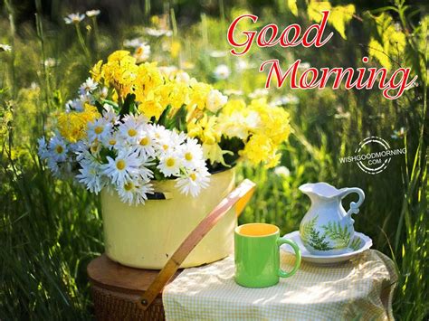Good Morning Wishes Good Morning Pictures