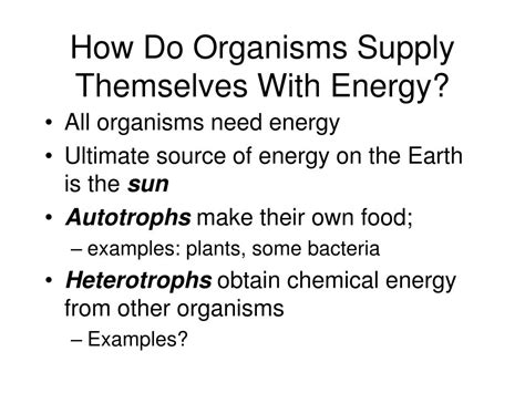 Ppt Energy Supply And Cellular Respiration How Organisms Extract And