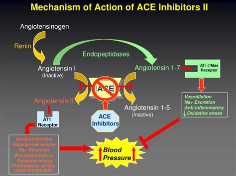 Ppt Ace Inhibitors Powerpoint Presentation Free Download Id1877497