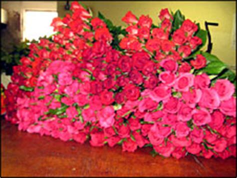 From wikipedia, the free encyclopedia. BBC NEWS | Business | Wilting flower exports hit Zambia