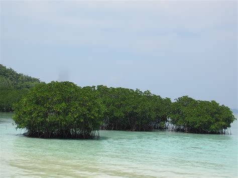 Dalam ruang lingkup yang kecil kita dapat mewujudkan. Pengertian, Ruang Lingkup Oseanografi