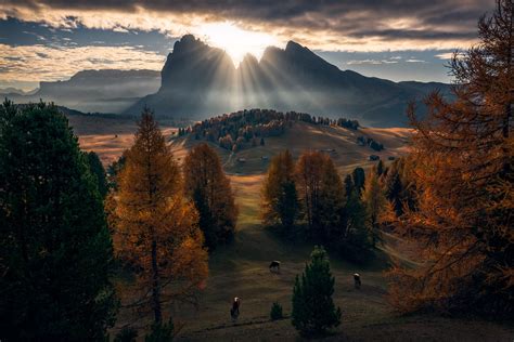 Dolomites Mountains Nature Fall Clouds Animals Sun