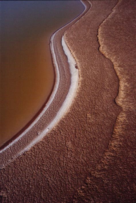 The rest of the deaths pinned to the china coronavirus are attributed to individuals who had other serious issues going on. Landscape, Woods, Forests, Paesaggio, Entroterra, Natura ...