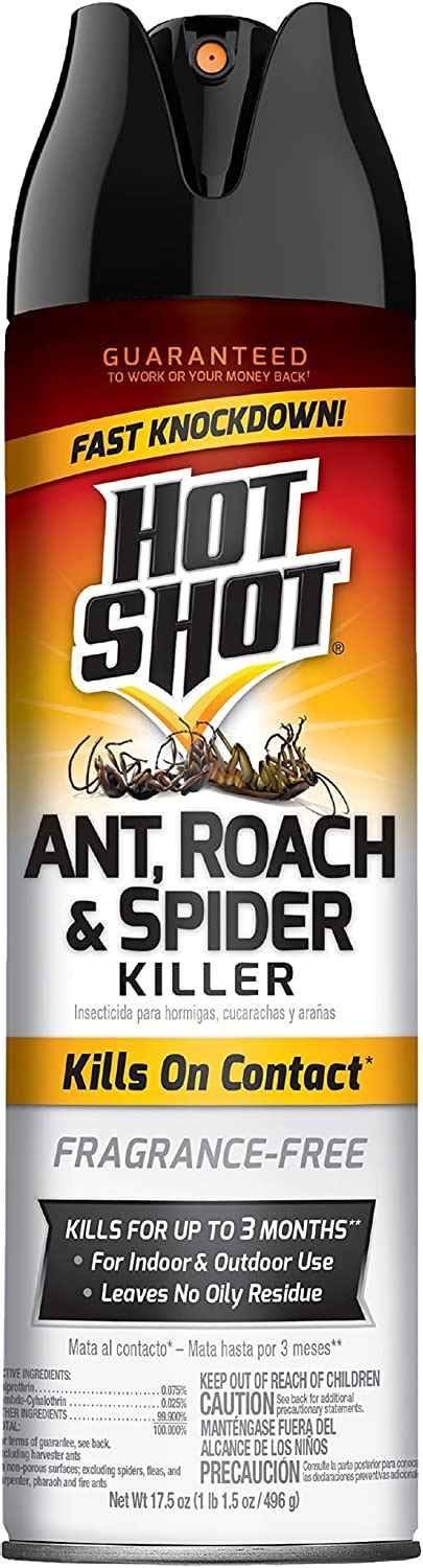 Amazon Com Hot Shot Insecticida Contra Hormigas Y Cucarachas Nueva