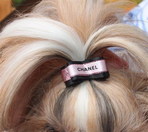 Dog Hair Bow Authentic Pink Ribbon On Pink Sparkle Shih Tzu Yorkie