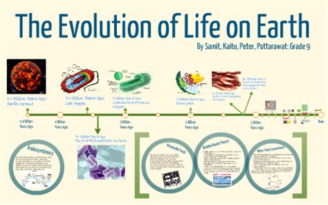 Timeline The Evolution Of Life On Earth By Samit Wells On Prezi