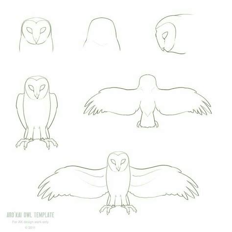 Pin By Susan Carrell On How To Draw Owls Animal Drawings Owls