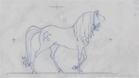 More Traditional 2d Animation Part 3 Album On Imgur Horse Animation