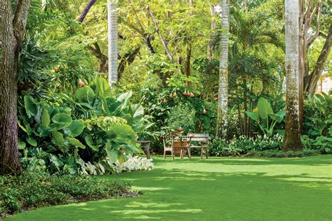 Spacious Tropical Lawn Tropical Landscaping Tropical Garden Design