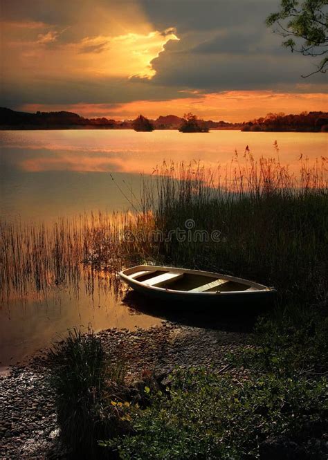 Sunset Lake With Rowing Boat Stock Image Image Of Night Light 56402557