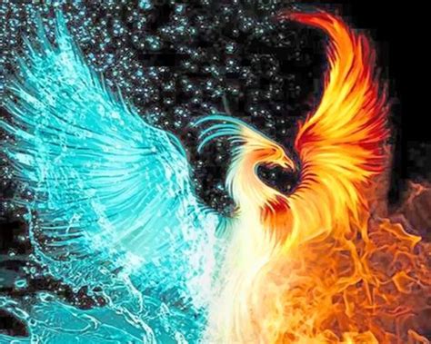Fire And Water Phoenix Paint By Numbers Numeral Paint Kit
