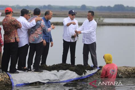 Kunjungan Kerja Menteri Koperasi Dan UKM Di Kampung Nelayan