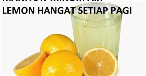 Salah satu manfaat minum air lemon adalah dapat meningkatkan imunitas tubuh. Manfaat Minum Air Lemon Hangat Setiap Pagi Hari - Buah ...