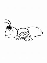 Ant Coloring Pages Choose Board sketch template
