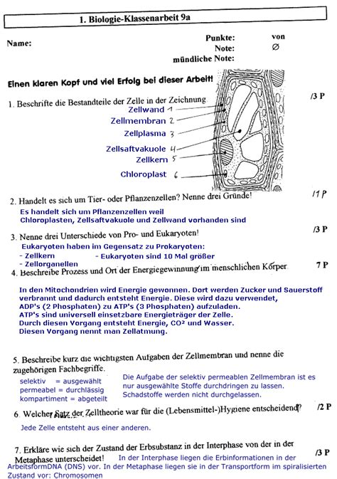 Home » unlabelled » arbeitsblatt über zellen : Biologie Klasse 5 Biologie Arbeitsblätter Zum Ausdrucken ...