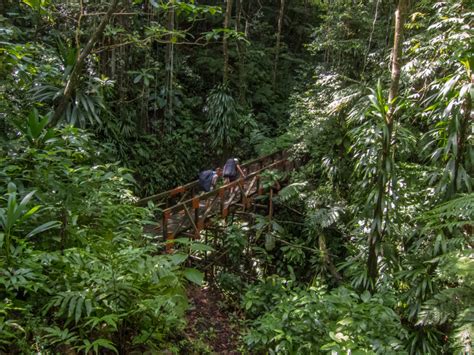 waitukubuli national trail segment 7 hatton garden to first camp kevin s travel blog