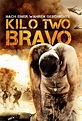 Poster for Kajaki: Kilo Two Bravo | Flicks.co.nz