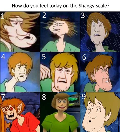Since Shaggy Is Popular I Decided That Id Make One Myself Rmemes