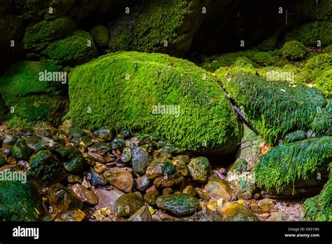 Green Mossy Rocks With Wet Surface Near River In Greece Stock Photo Alamy
