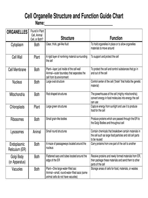 Organelles of eukaryotic cells organelle function nucleus the brains of the cell, the nucleus directs cell activities and contains genetic material called chromosomes made of dna. Organelle Functions - Fill Online, Printable, Fillable ...