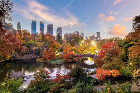 Premium Photo Central Park In Autumn In Midtown Manhattan New York City