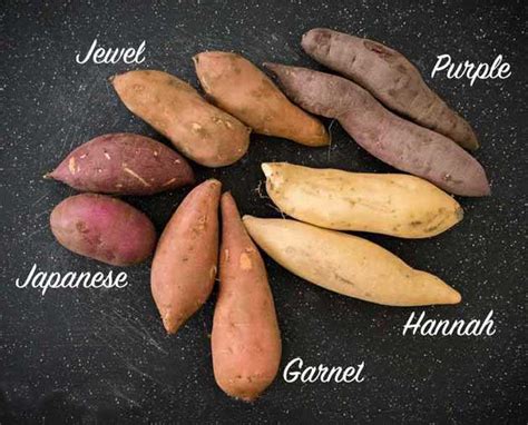 Types Of Sweet Potatoes With Images And Why You Should Be Eating Them