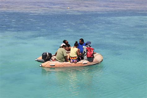 The staples of tongan foods are pork, chicken, beef, sheep ribs, and fish to name a few popular meats; Sailing with Terrapin: Niuatoputapu, Tonga aka "New Potatoes"