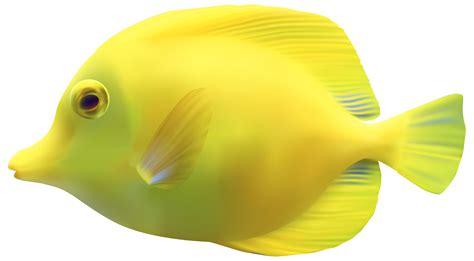 Collection Of Fish Png Pluspng