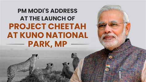 Pm Modi Launches Project Cheetah At Kuno National Park Madhya Pradesh