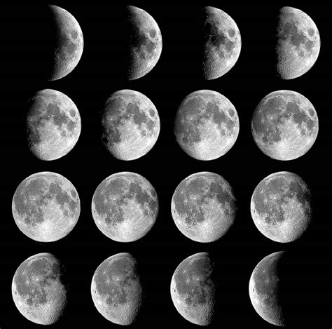 Moon Phases Image 1117699 On