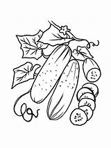 Gaddynippercrayons Manzana Cucumbers Pepino Cebolla sketch template