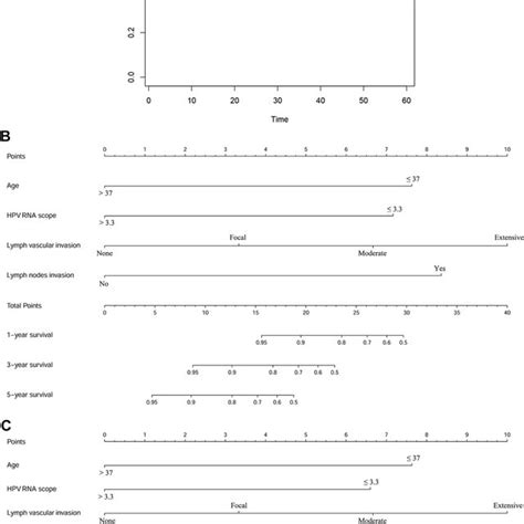 Time Dependent Roc Curve Analysis And Nomogram Model For Overall Download Scientific Diagram