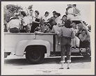 Teenage Rebel 8x10 photo 1956 cast hanging out in back of pickup truck