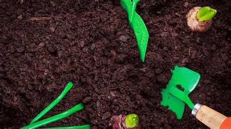 Best Soil For Growing Plants Gardening Tips And Tricks