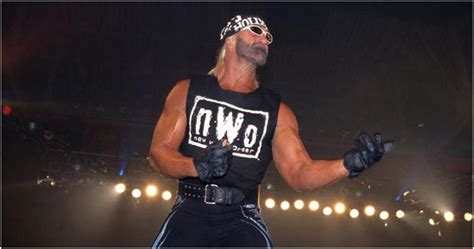 Hulk Hogan 5 Reasons Why Hollywood Hulk Hogan Was The Best And 5 Why He Was The Worst