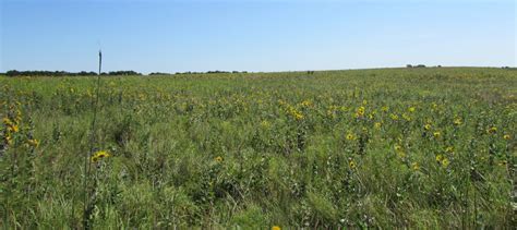Friendly Prairie Conservation Area Missouri Department Of Conservation