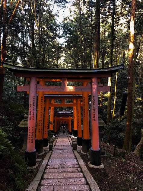 japonya-gezilecek-yerler-fushimi-nari-shrine - Gezilecek Yerler - FilGezi