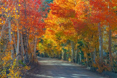 17 Places To See Vibrant Fall Foliage In The Usa Follow Me Away