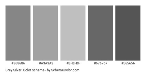 Grey Silver Color Scheme Gray