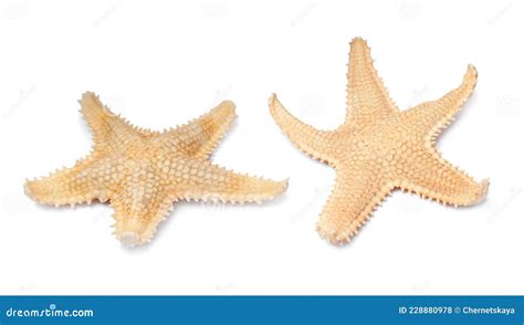 Beautiful Sea Stars On White Background Collage Stock Photo Image Of
