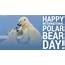 International Polar Bear Day A To Celebrate The White Furry 