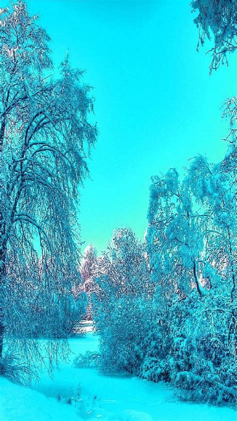 Beauty Winter Landscape Hd Mobile Wallpaper Peakpx