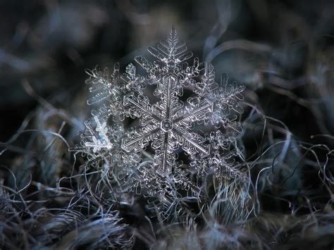Real Snowflake 2014 12 262 Photograph By Alexey Kljatov Fine Art America