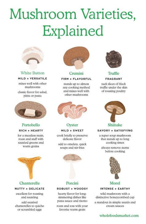 61 Best Mushroom Guide Images In 2020 Stuffed Mushrooms Mushroom