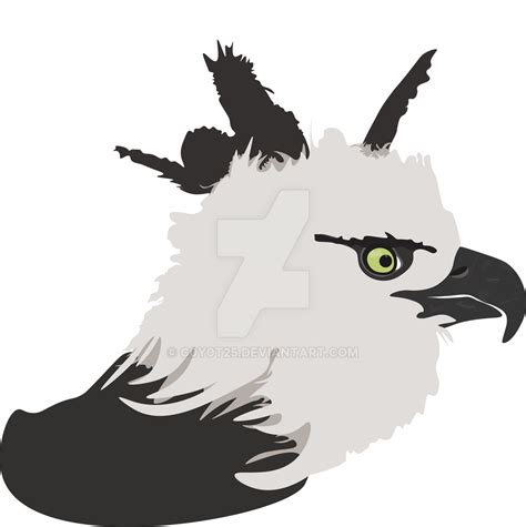 Harpy Eagle Updated By C0y0t25 On Deviantart