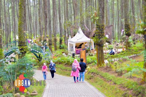 Tamasya Seru Ke Orchid Forest Lembang Bandung Your Bandung